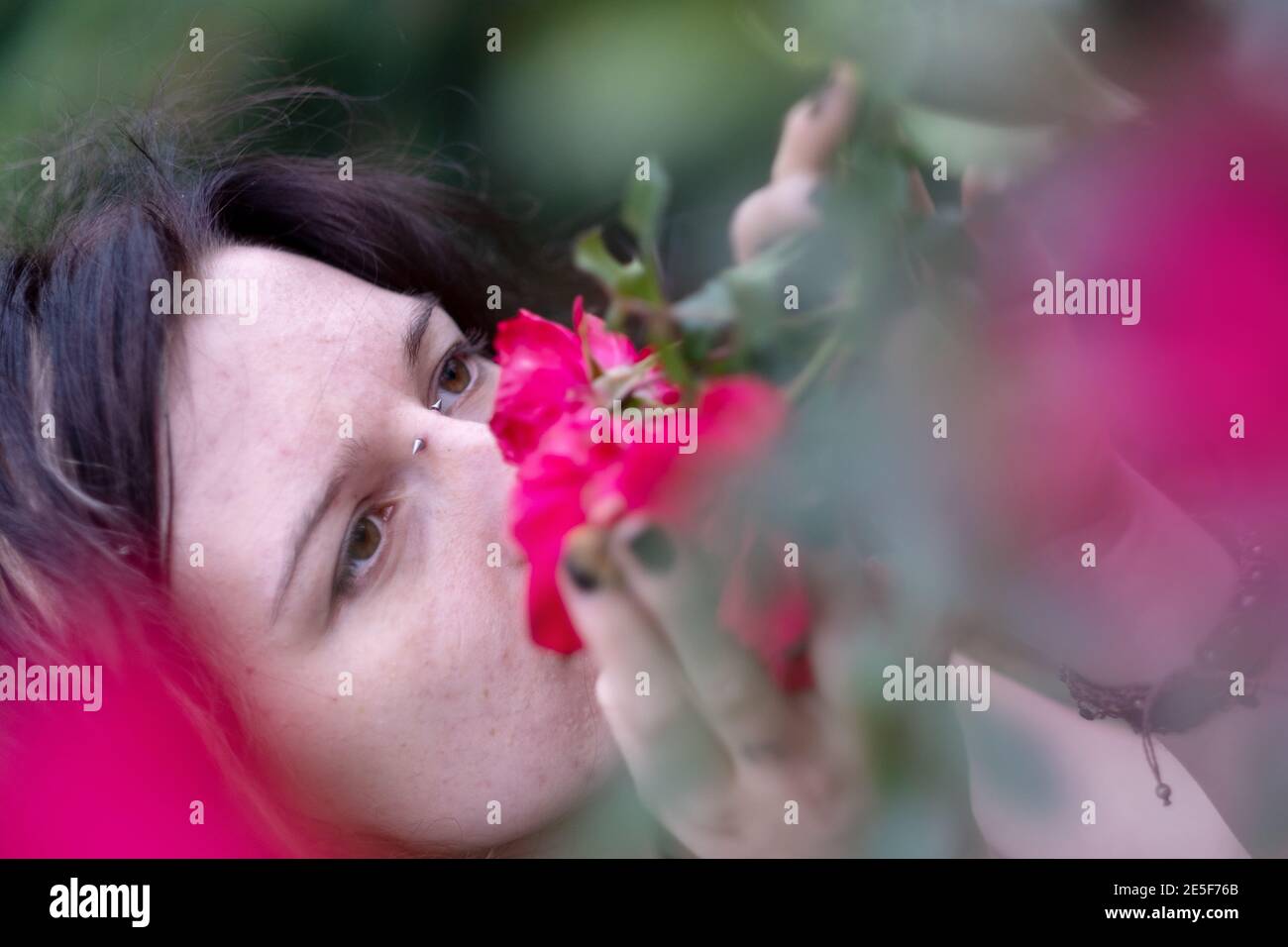 Portrait of a beautiful young individual, eccentric dark-haired woman, her nose stuck deep in fragrant red roses growing in the garden in the park Stock Photo