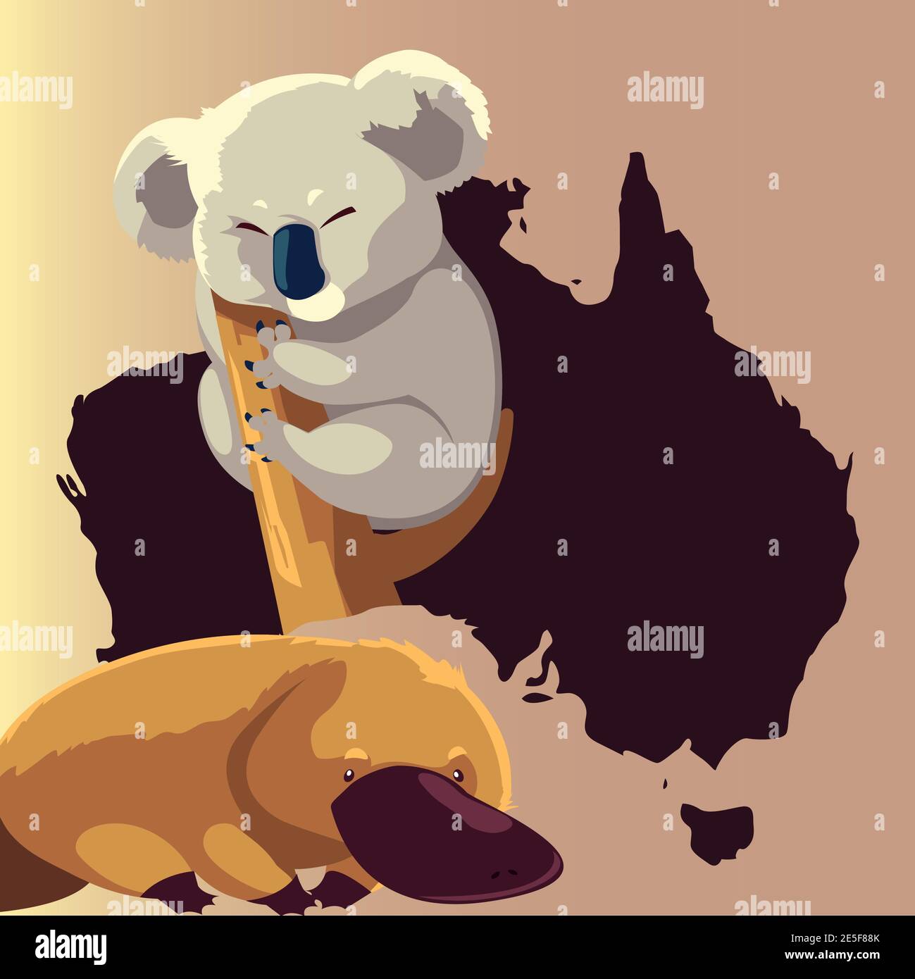 platypus and koala map australian animal wildlife vector illustration ...