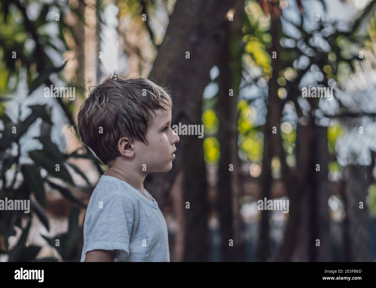 Side view kid child six year boy looking straight serious sad in white t-shirt outside nature background. Dark mood, childhood parenthood psychology Stock Photo - Alamy Side view kid child six year boy looking straight serious sad in white t-shirt outside nature background. Dark mood, childhood parenthood psychology Stock Photo - Alamy