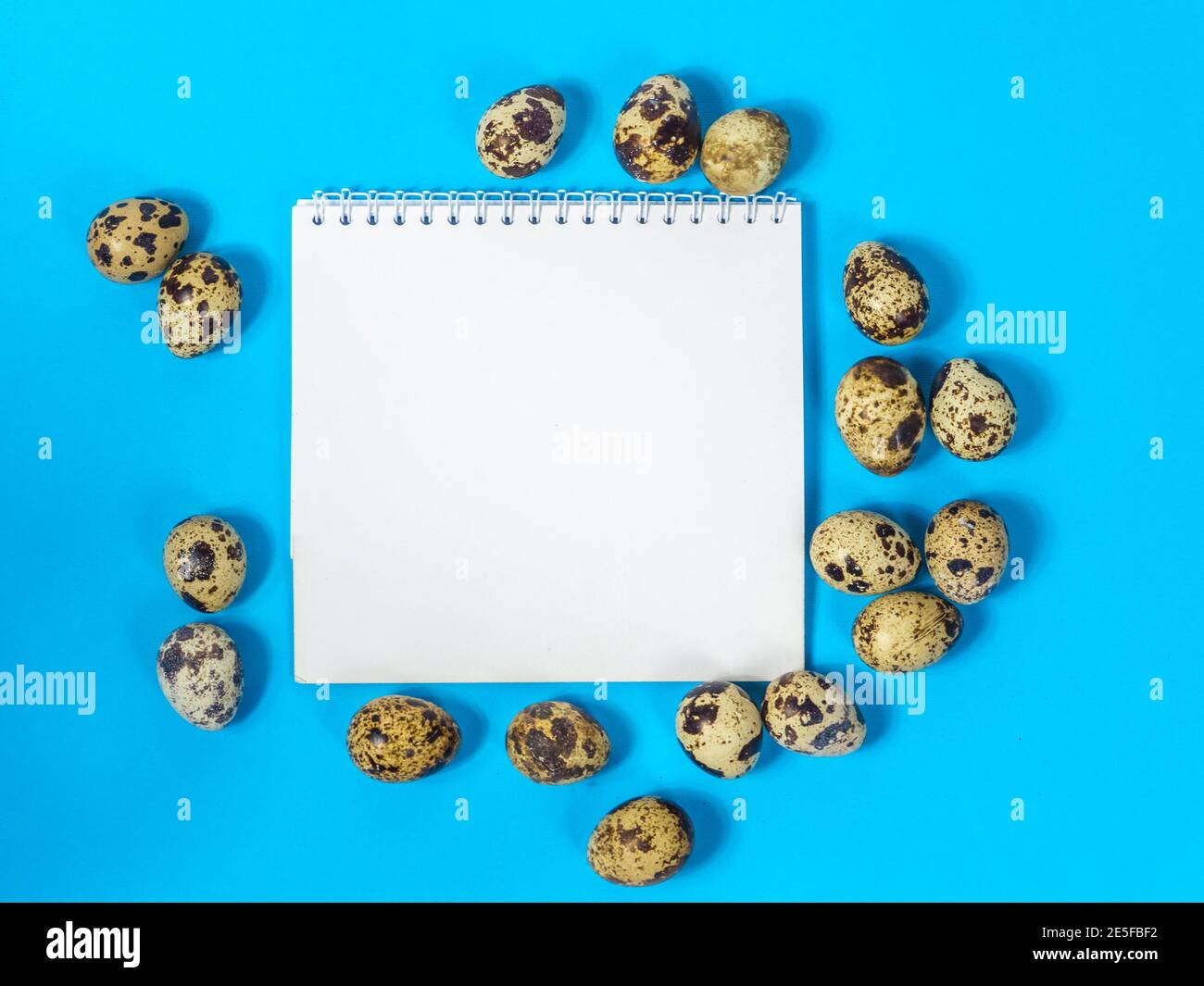 a blank sheet of paper surrounded by quail eggs on a blue background Stock Photo