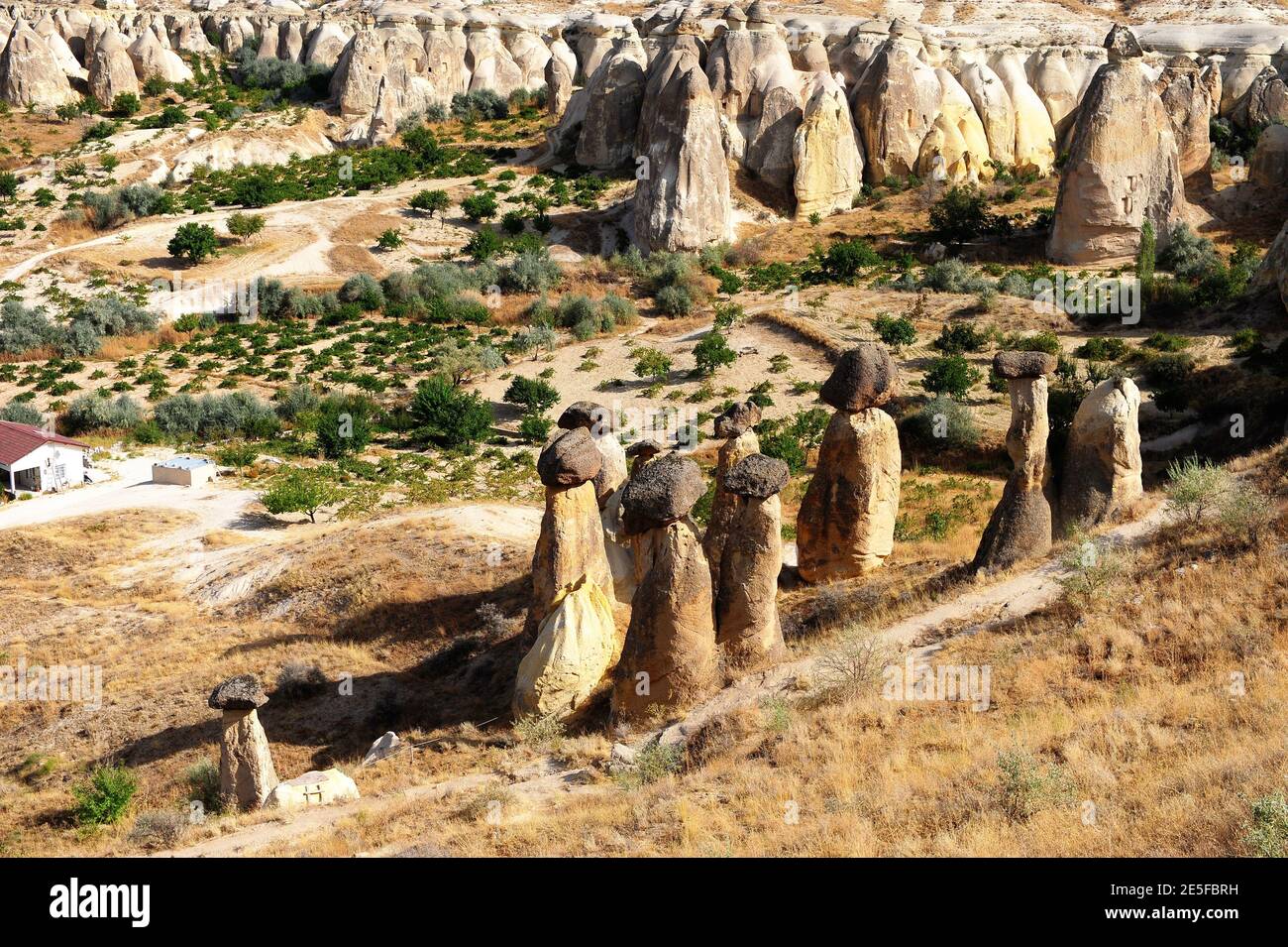 Amazing rock formations in Cappadocia valley,Turkey Stock Photo