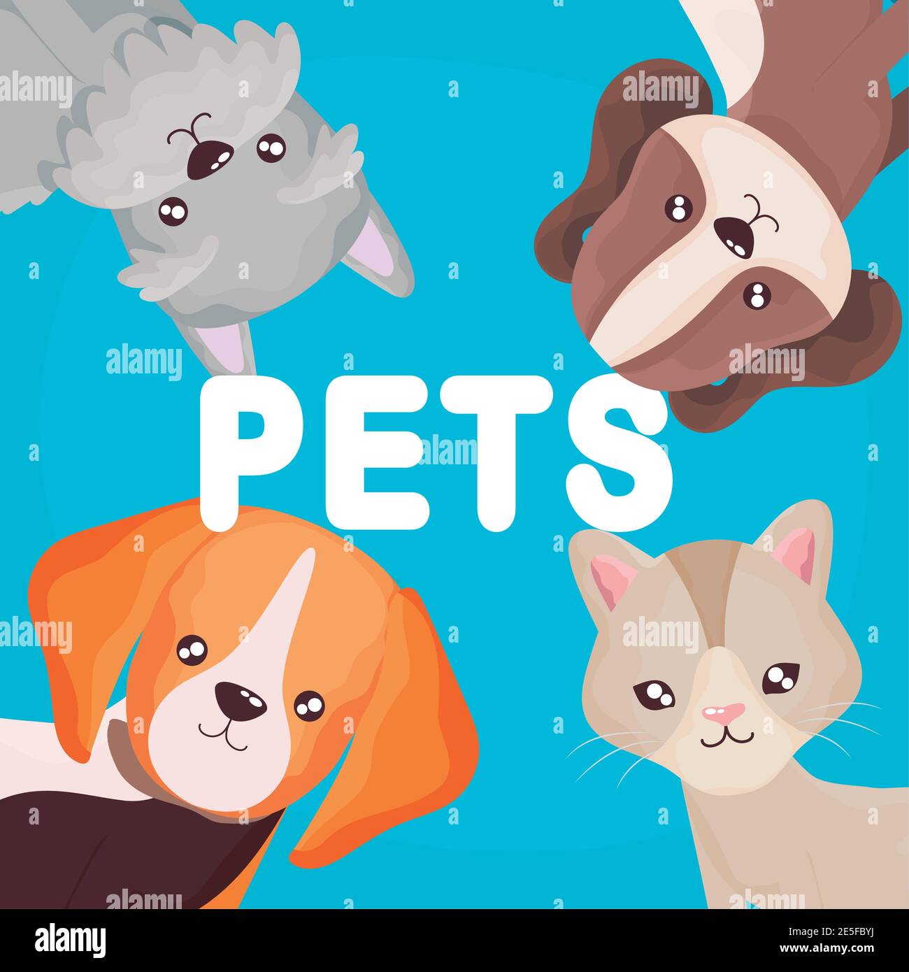Funny Pets Cats And Dogs Cartoon Domestic Animals Stock Vector Image Art Alamy