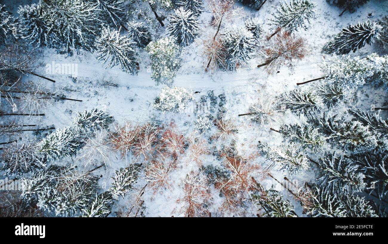 Top down view snowy tree hi-res stock photography and images - Alamy