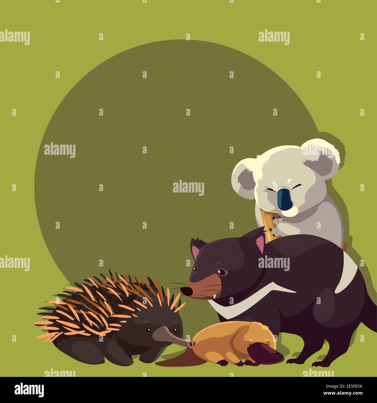 koala hedgehog platypus tasmanian devil australian animal wildlife ...