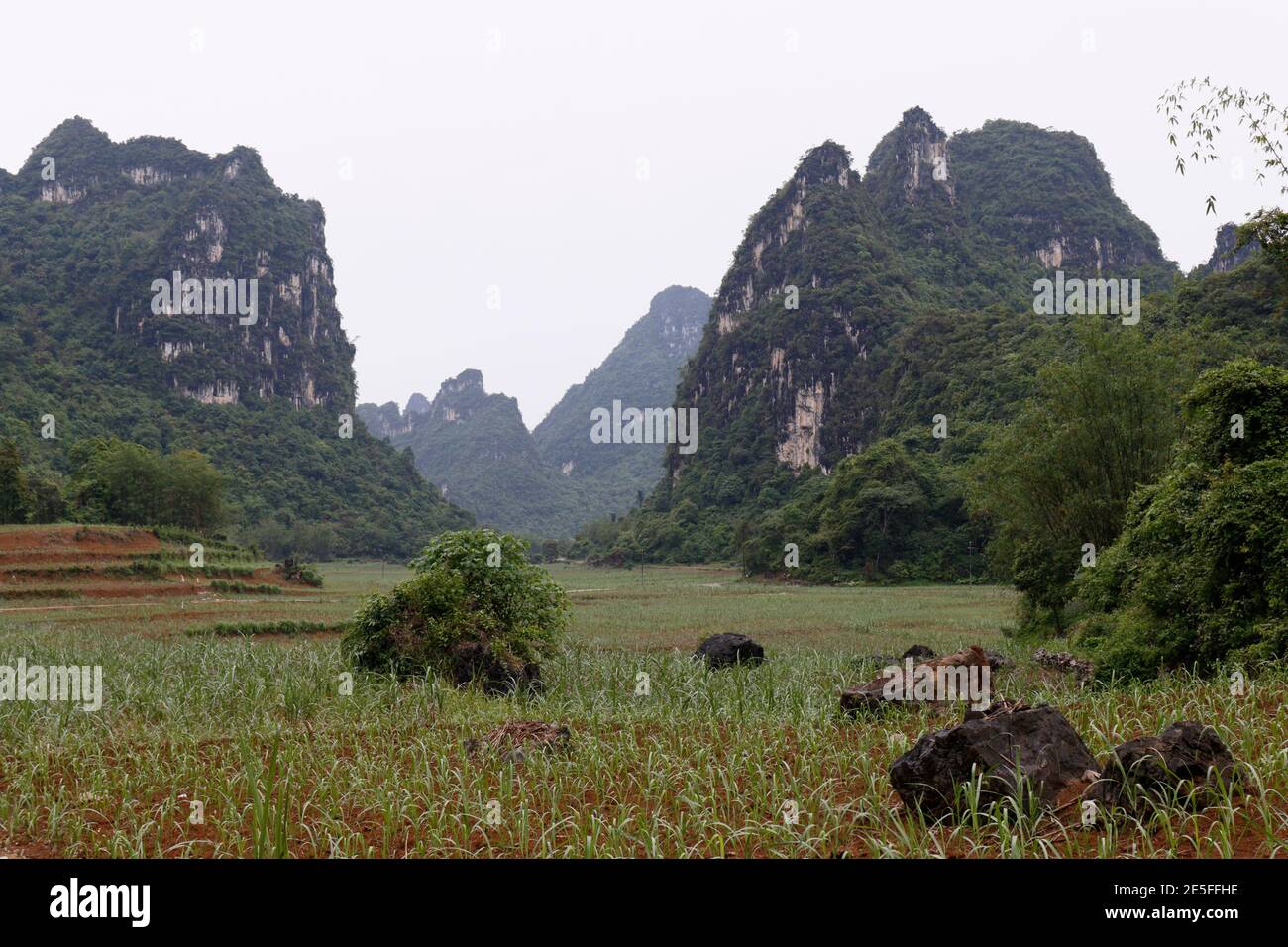 Karst landscape and cornfields, Longchuan County, Guangxi Province, China 22nd April 2016 Stock Photo