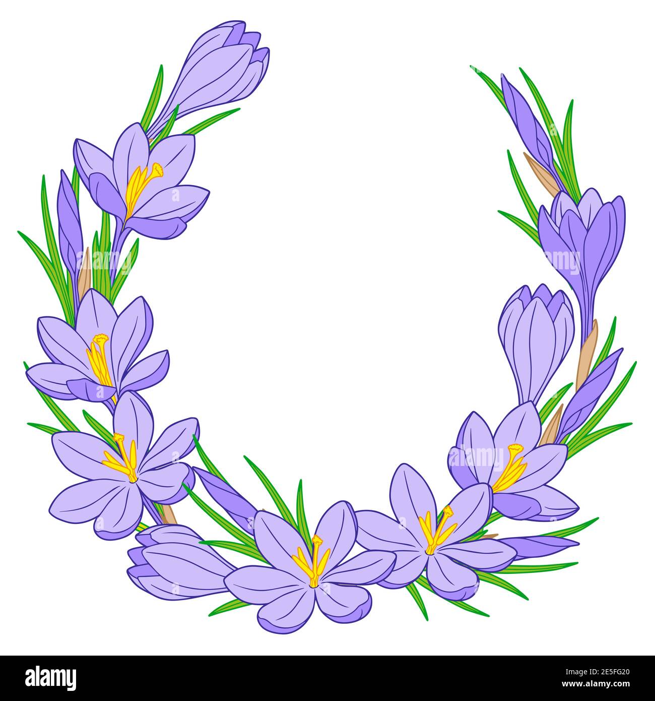 Vector frame with blue crocus flowers on a white background Stock Vector
