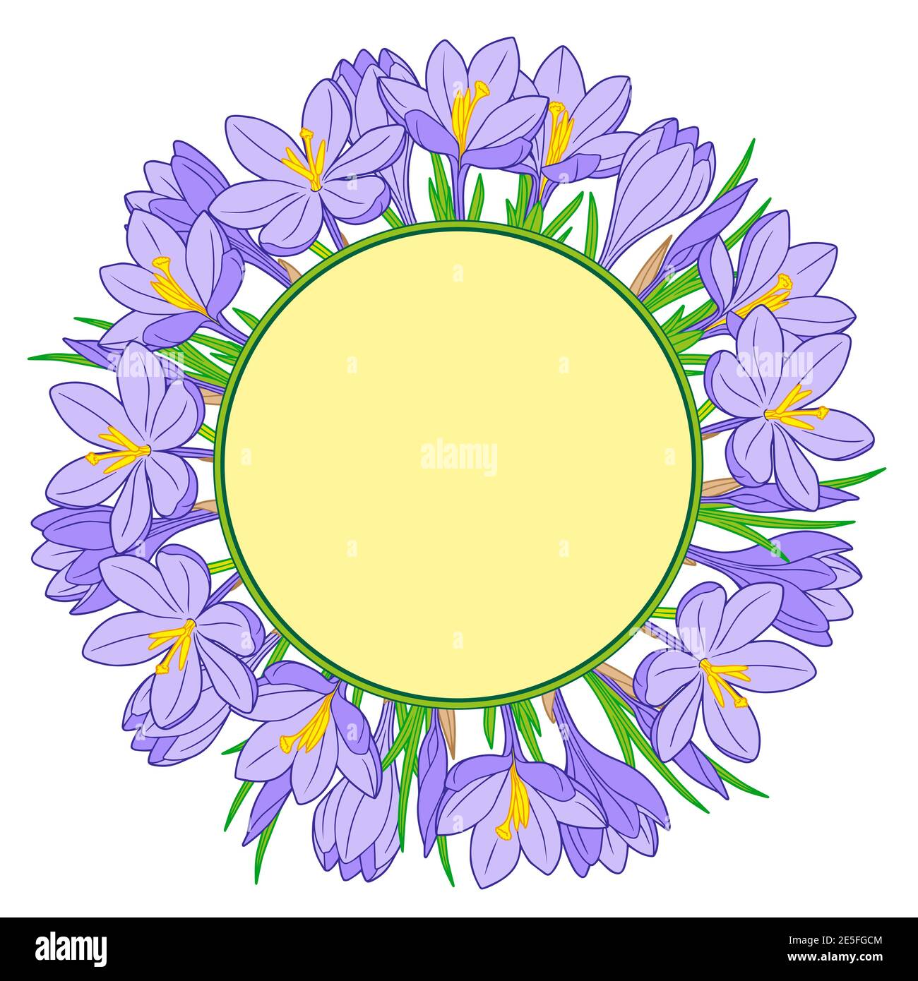 Vector frame with blue crocus flowers on a white background Stock Vector