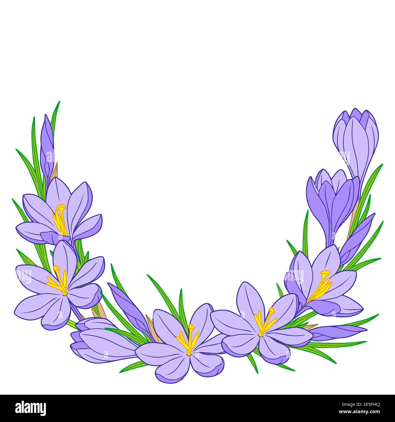 Vector frame with blue crocus flowers on a white background Stock Vector