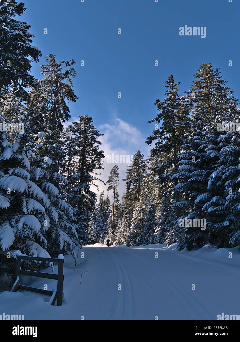 Leading activity hires stock photography and images Alamy