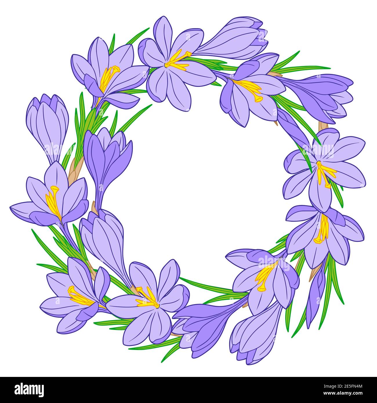 Frame with blue crocus flowers on a white background Stock Vector