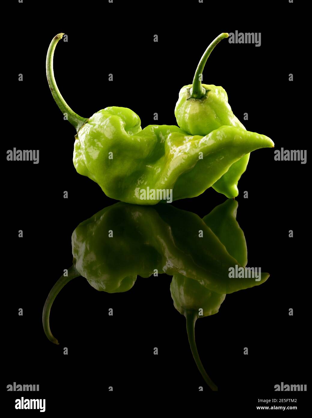 Ripe and green very hot ghost pepper on black background Stock Photo