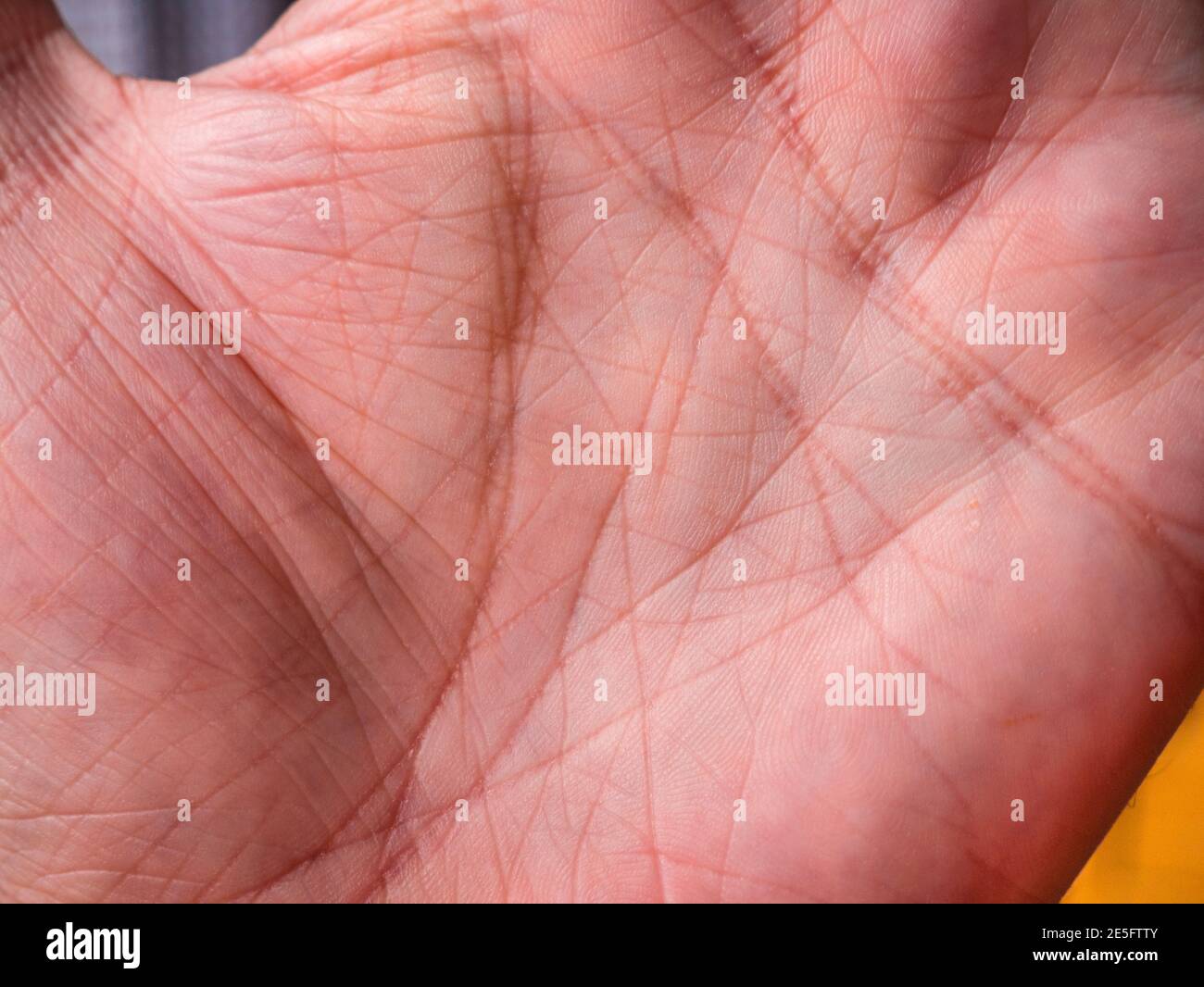 Wrinkled hand Lines of life on palm of hand Stock Photo Alamy