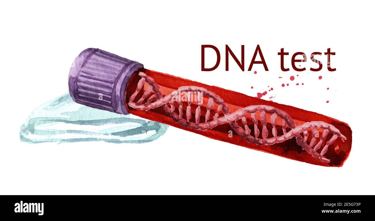 DNA molecule in a test tube. Genetics Concept, DNA test. Hand drawn ...
