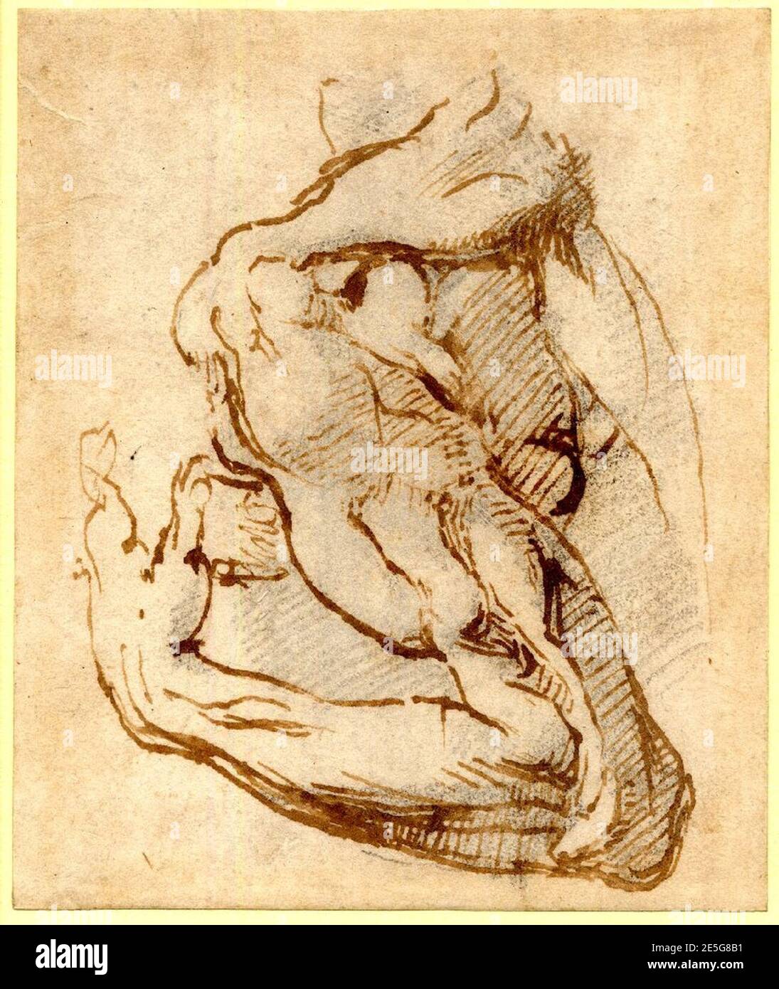 Michelangelo - A l arm and shoulder, sharply bent. c. 1530, 1859,0514.819. Stock Photo