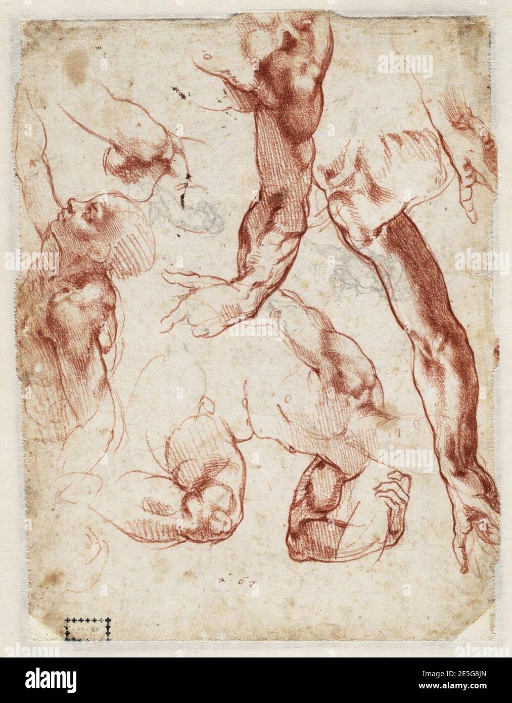 Michelangelo - Figure studies for The Creation of Adam in the Sistine ...