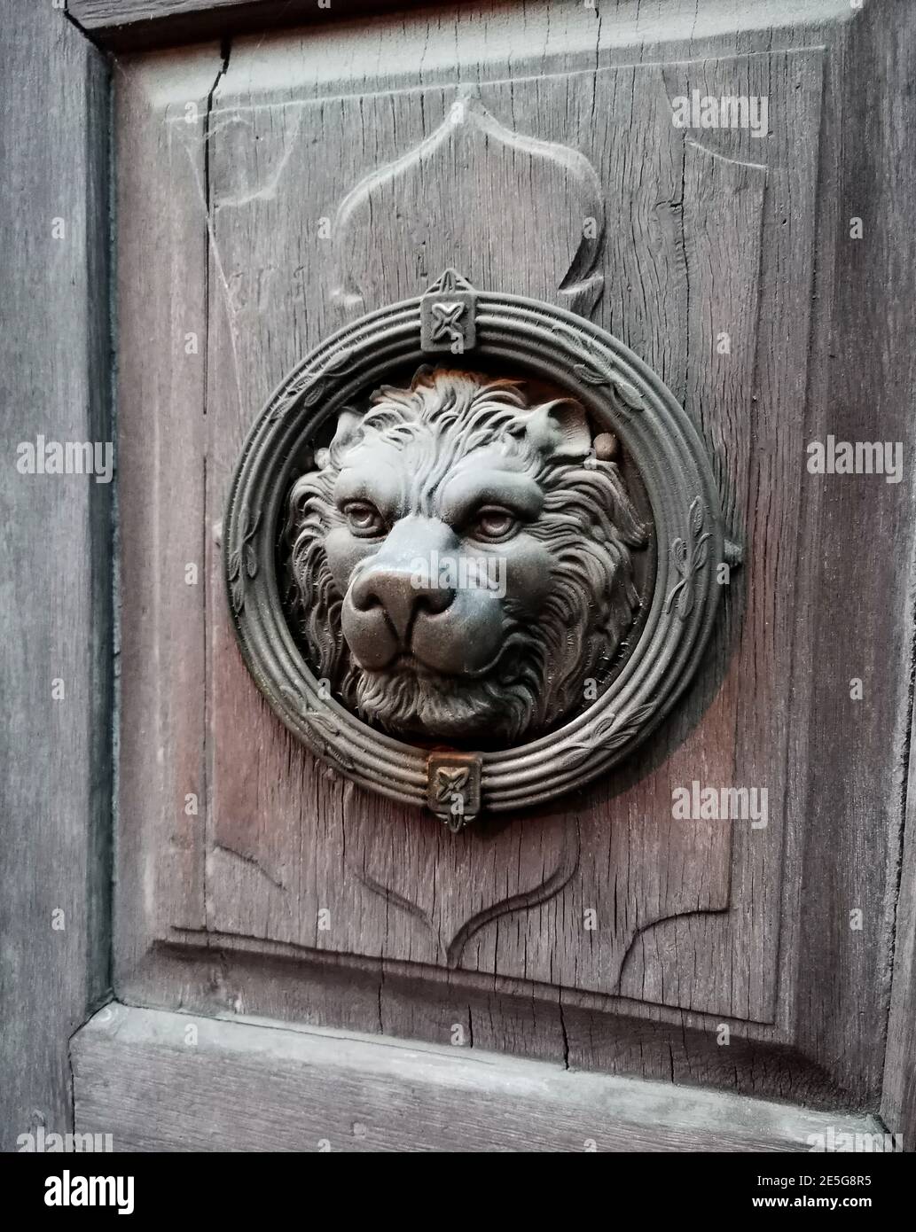 Old front door with a lion's head. Photo of antique sculpture of a lion
