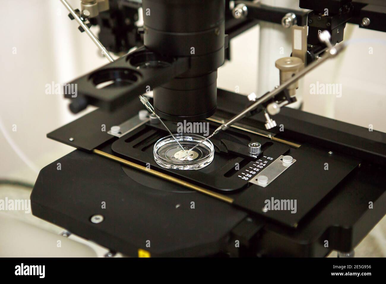 Microscope and optical equipment in the laboratory of the artificial