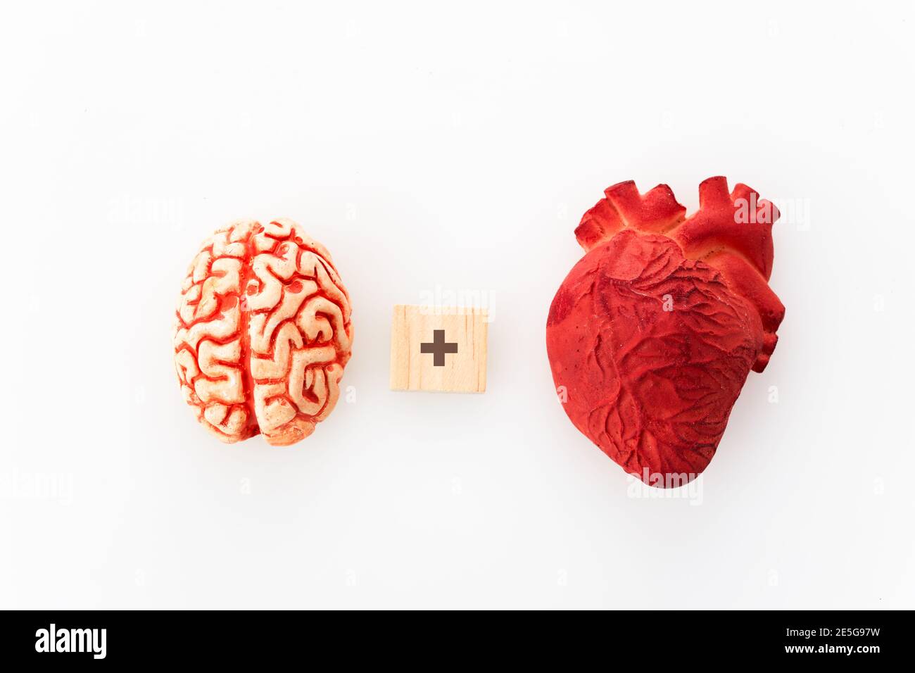 Feelings and mind concept. Brain plus heart on white background. Top view. Stock Photo