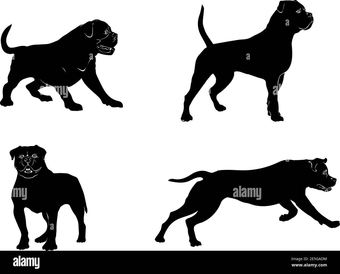 Dog, bulldog in motion, american bulldog different poses, black Stock Vector