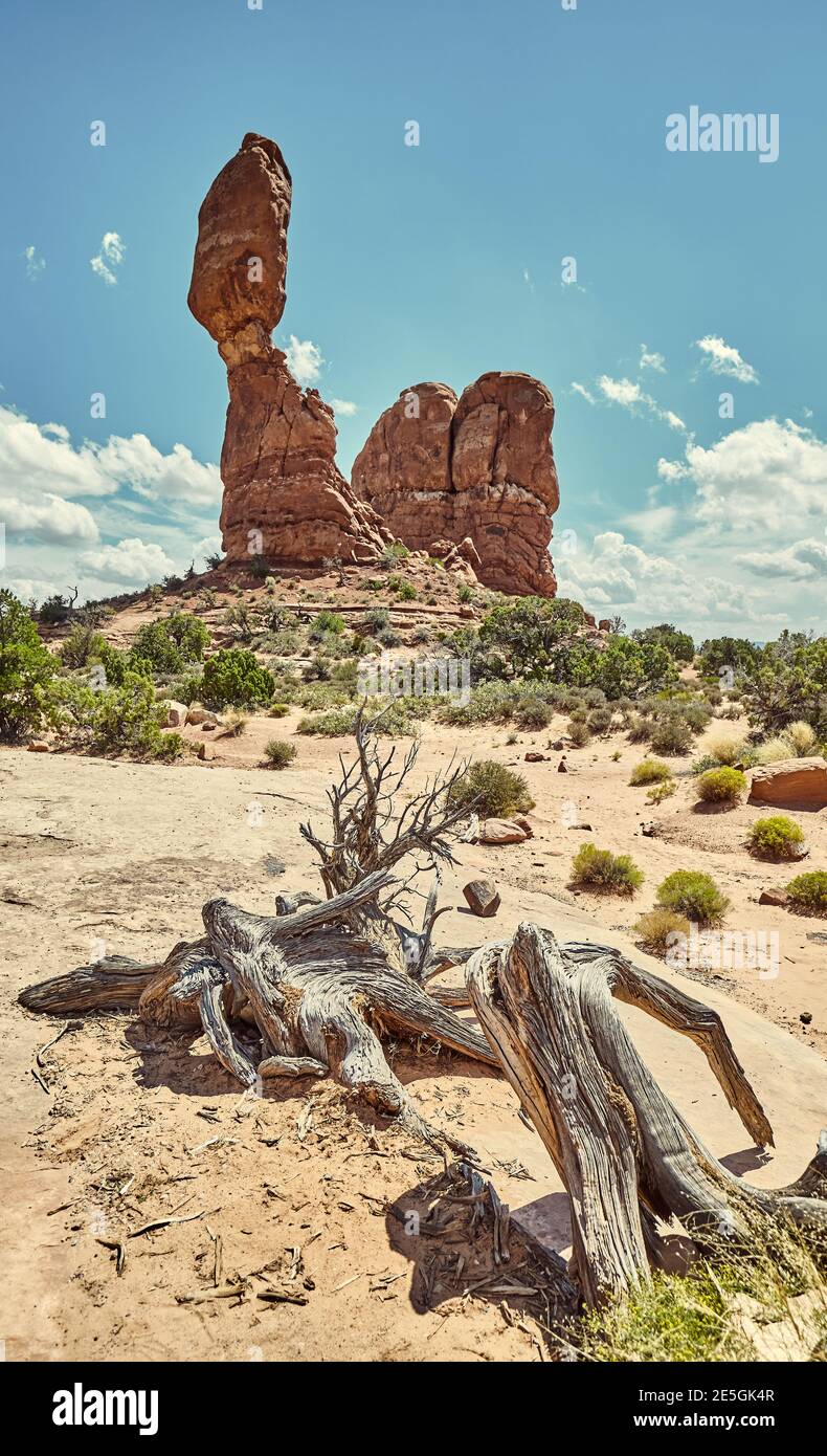 Balanced Rock in Arches National Park, color toning applied, Utah, USA. Stock Photo