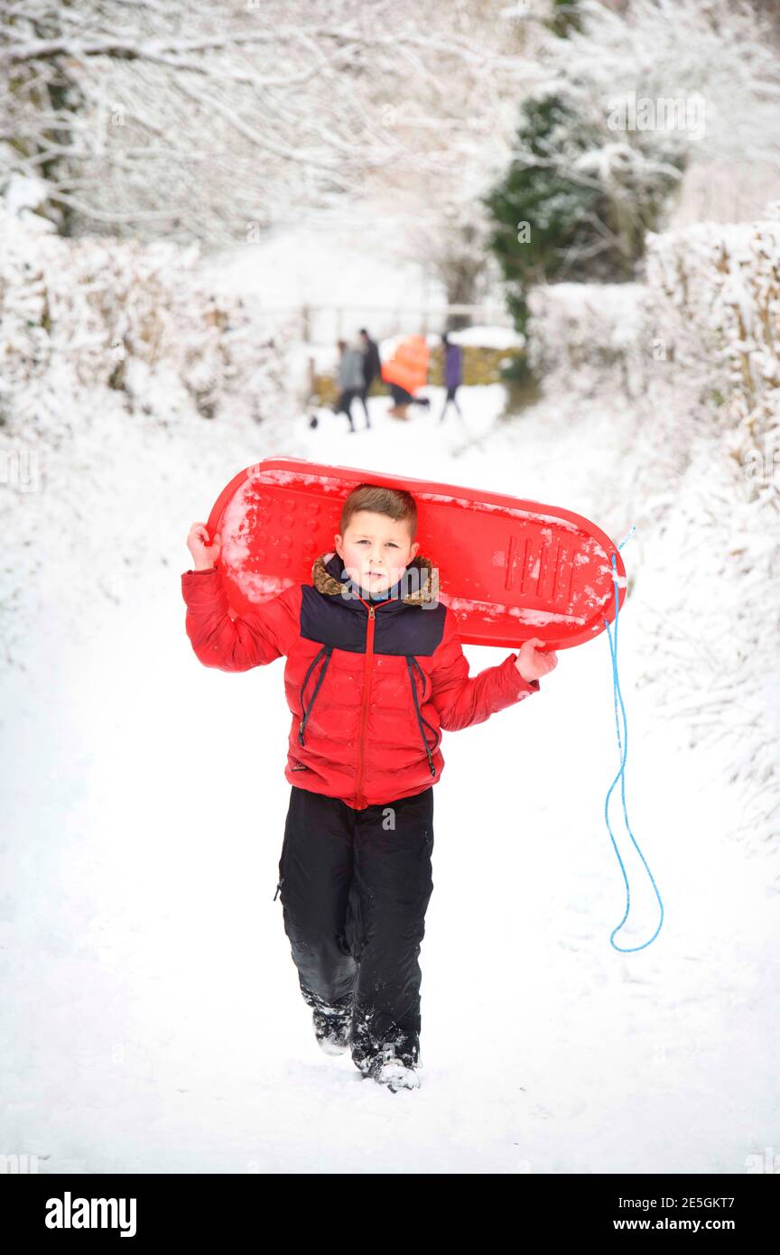 A young boy walks home after sledging in the Gloucestershire Cotswolds, UK Stock Photo
