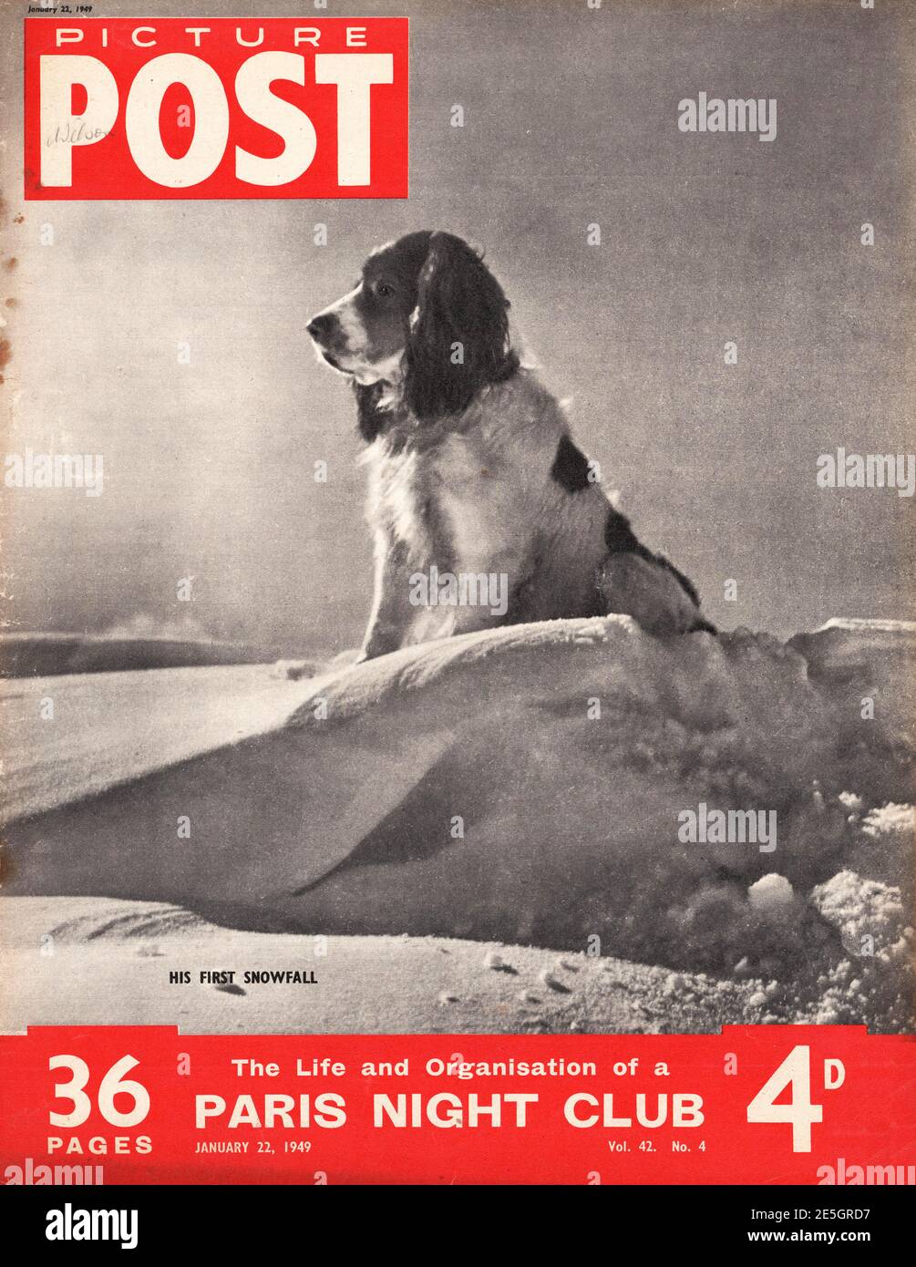 1949 Picture Post front cover Dog in the snow Stock Photo