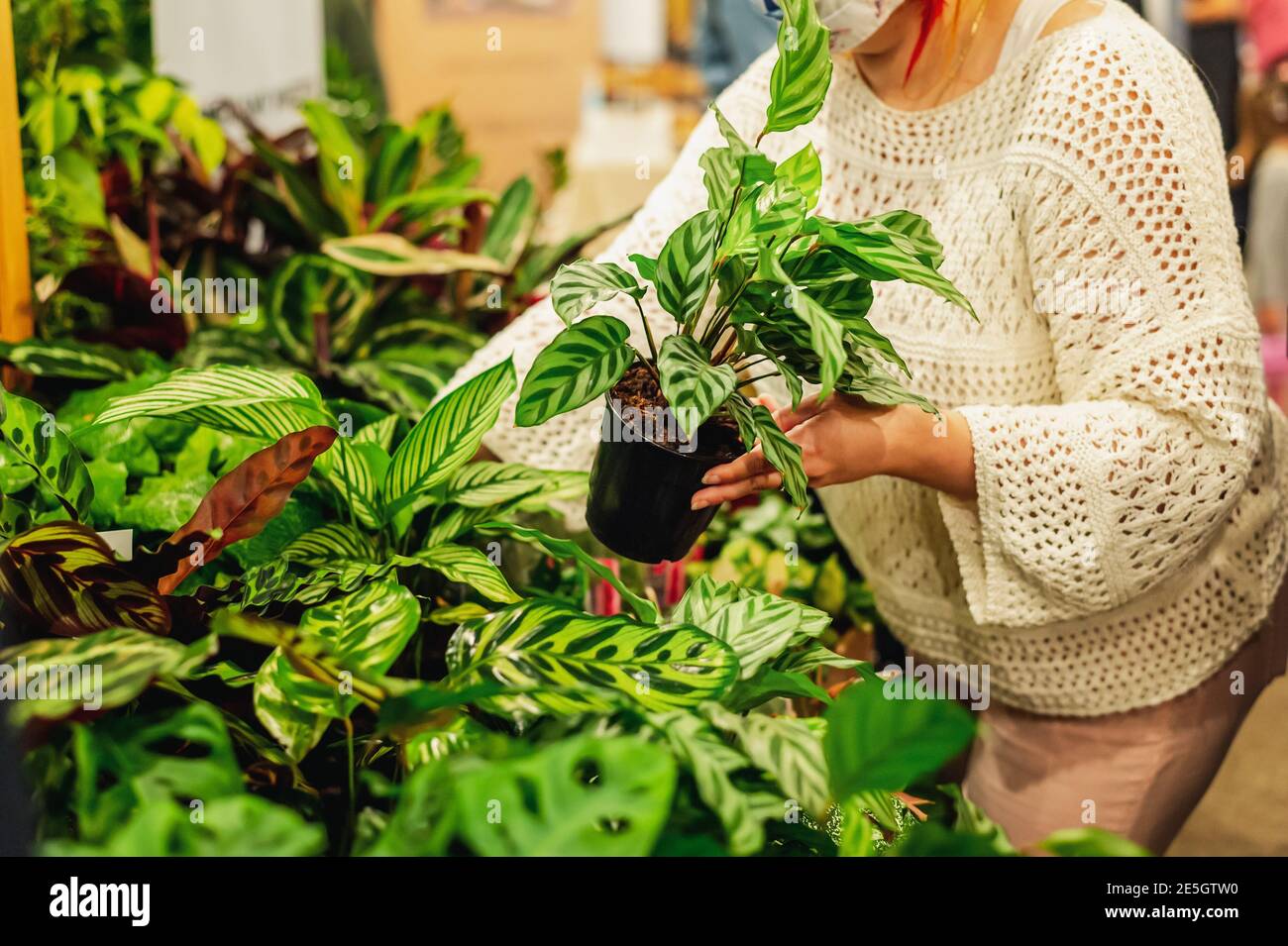 houseplants market, selling flower arrangement. flowers and green