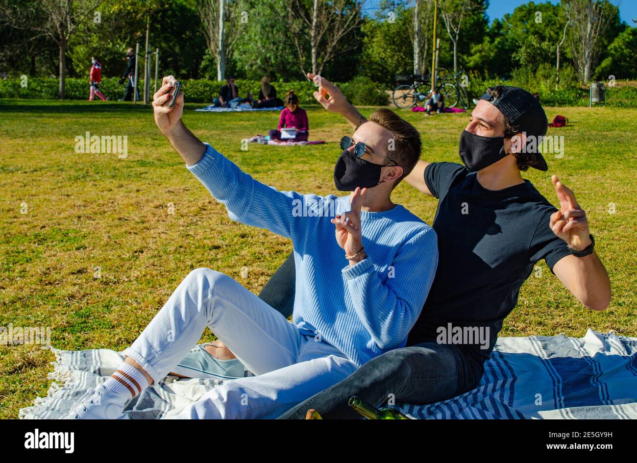 blue tree group face masks