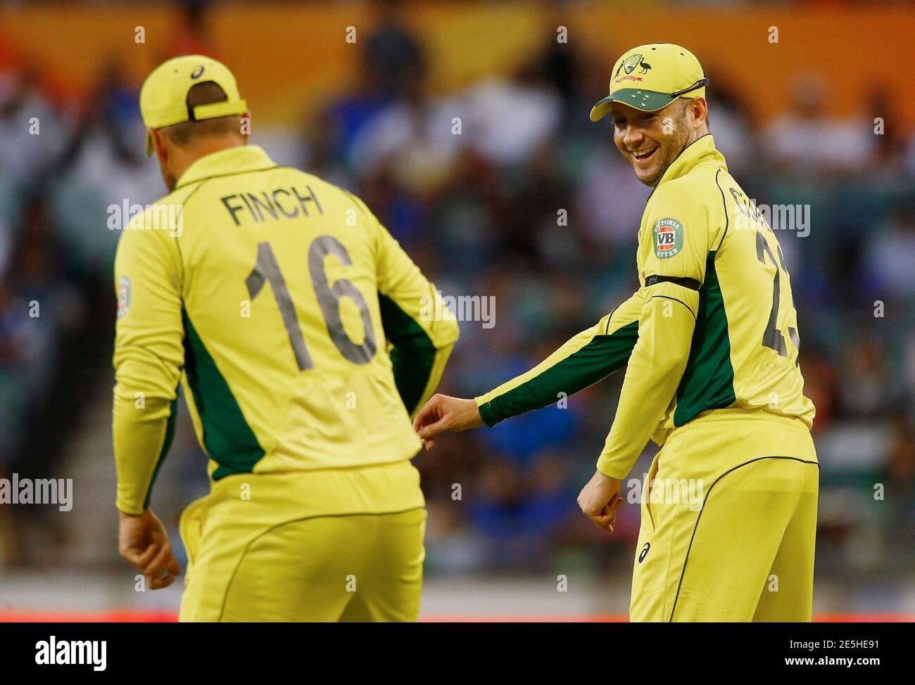 Australian cricket team captain michael hires stock photography and