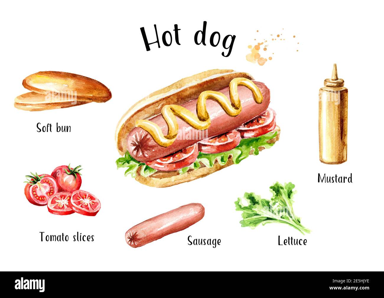 Hot dog ingredients set. Watercolor hand drawn illustration, isolated on  white background Stock Photo - Alamy