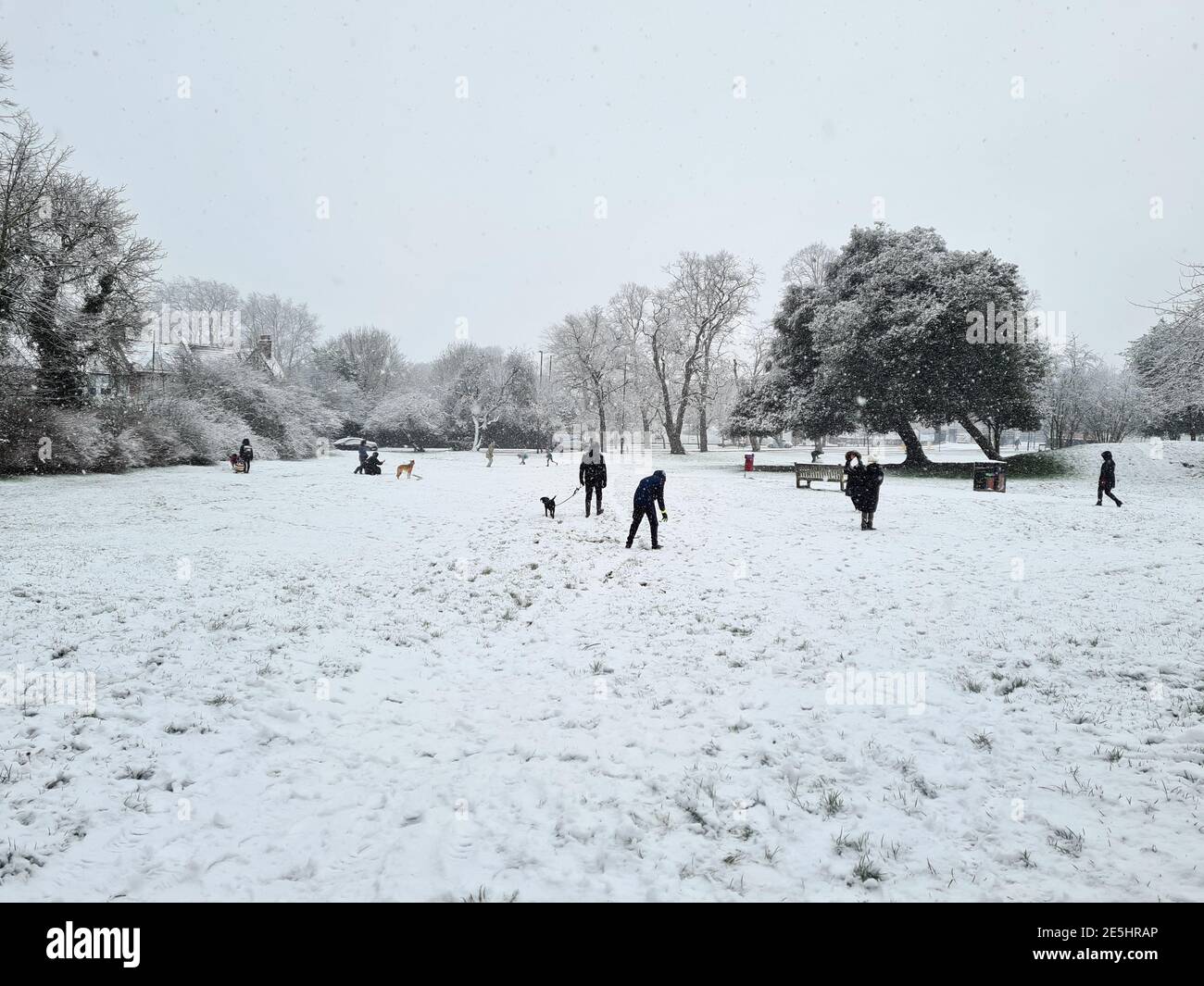 Snowy landscape of London suburban park Stock Photo