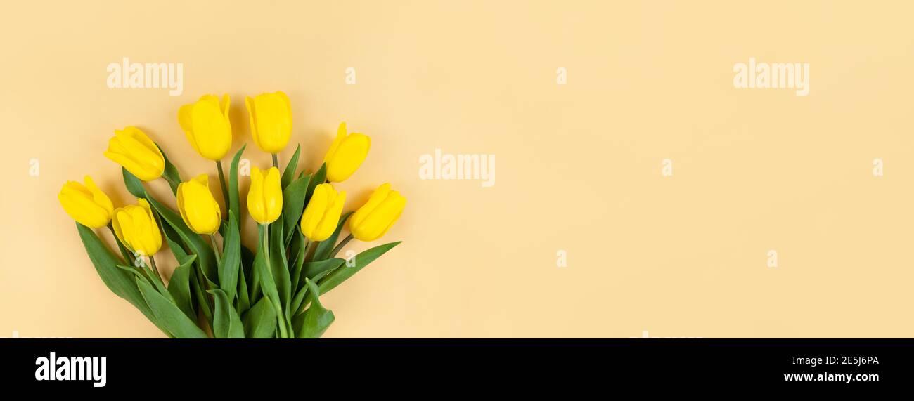 Bouquet of yellow tulips on a beige background with copy space. Stock Photo