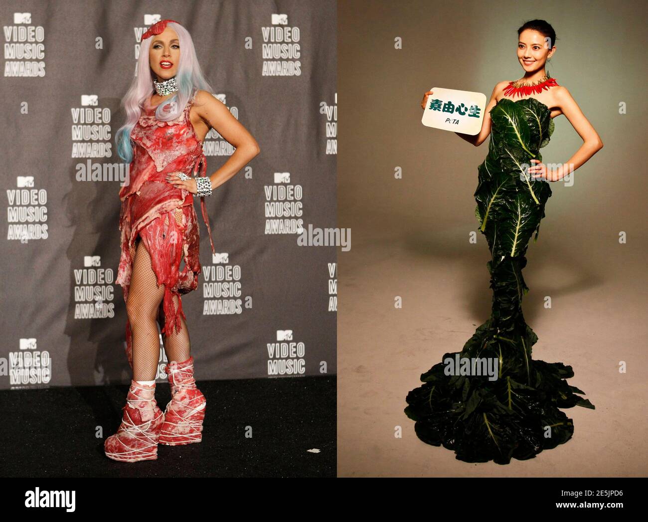 Мясной леди гага. Мясное платье леди Гаги. Леди Гага платье из мяса. Леди Гага костюм из мяса. Леди Гага мет Гала мясное платье.
