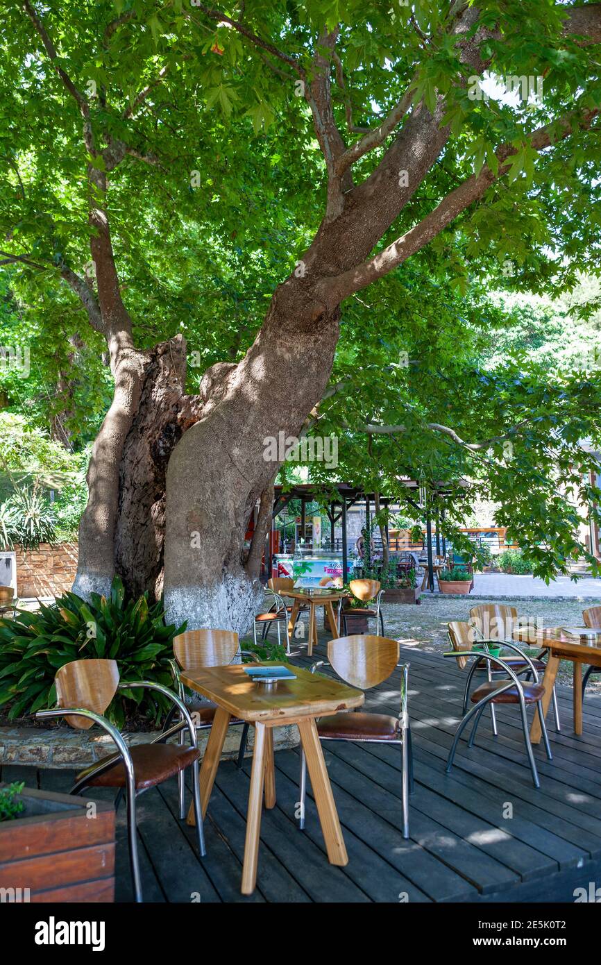 Cafe bar Ta Platania, Skala Potamia,Thassos island, Greece Stock Photo