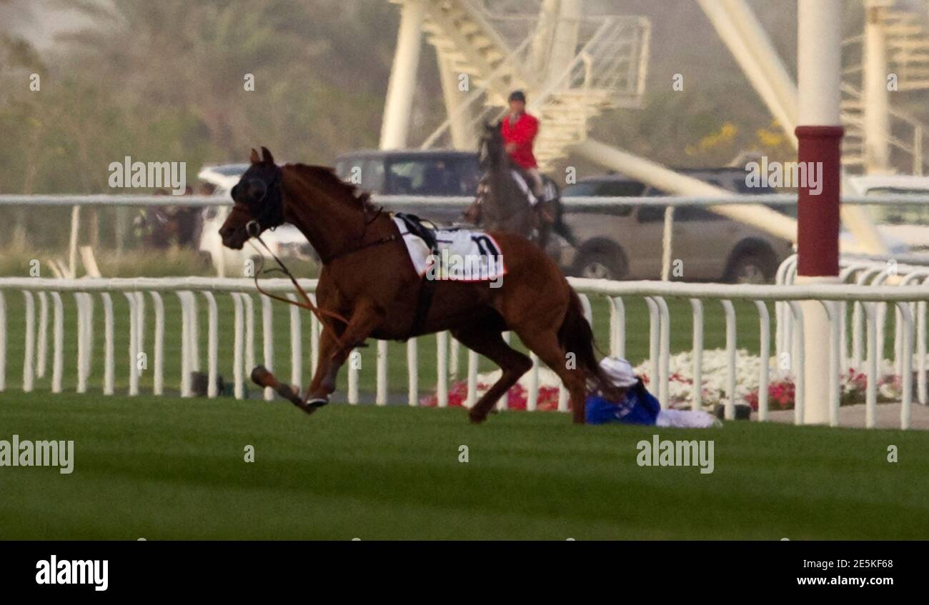 Horse Leg Broken High Resolution Stock Photography and Images Alamy