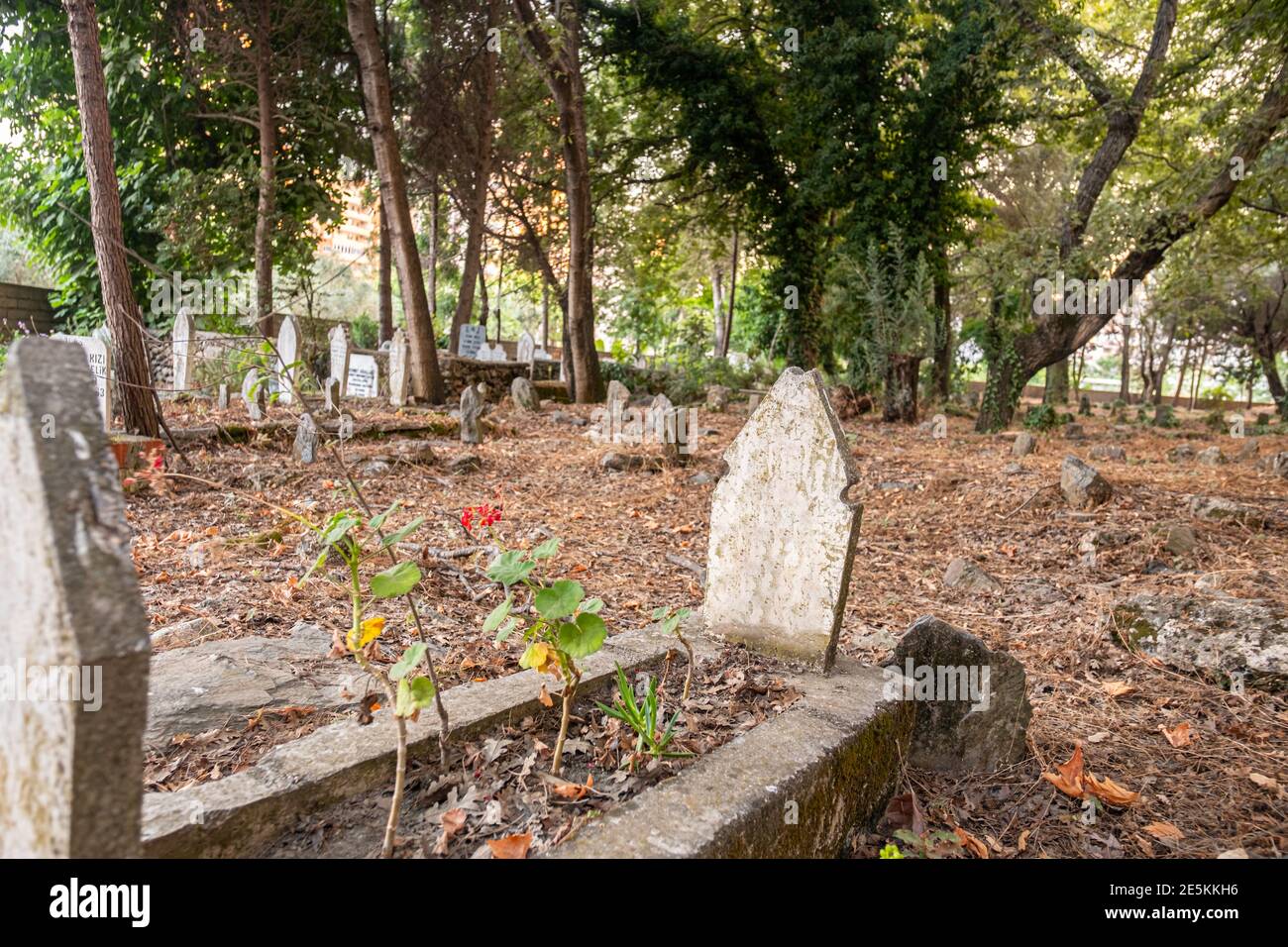 Sad woman in the cemetery Stock Photo by ©Geribody 168344864