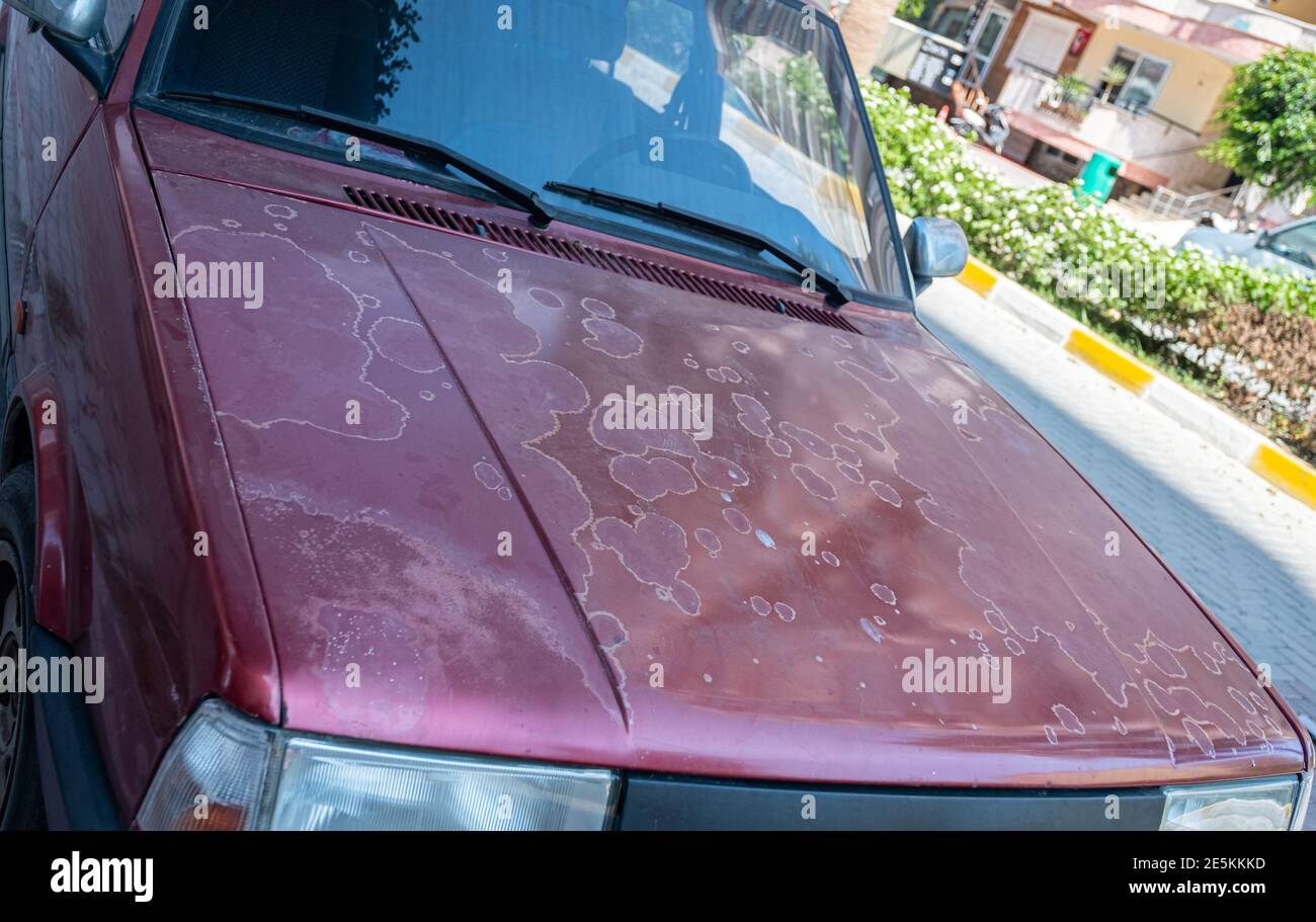 Old car paint affected by the soap , sun and humidity Stock Photo Alamy