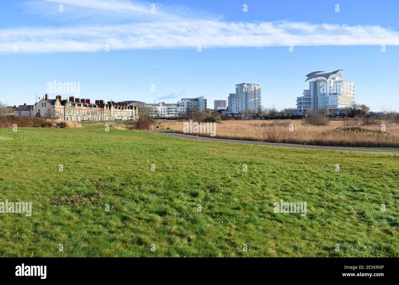 Cardiff Bay wetlands reserve, Cardiff, Wales Stock Photo Alamy