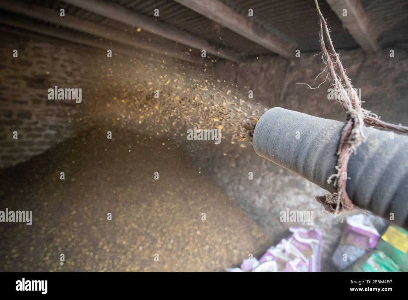 Blowing livestock feed into a barn, North Yorkshire, UK Stock Photo Alamy