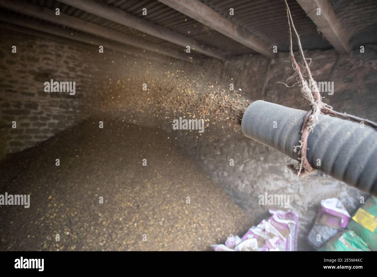 Blowing livestock feed into a barn, North Yorkshire, UK. Stock Photo