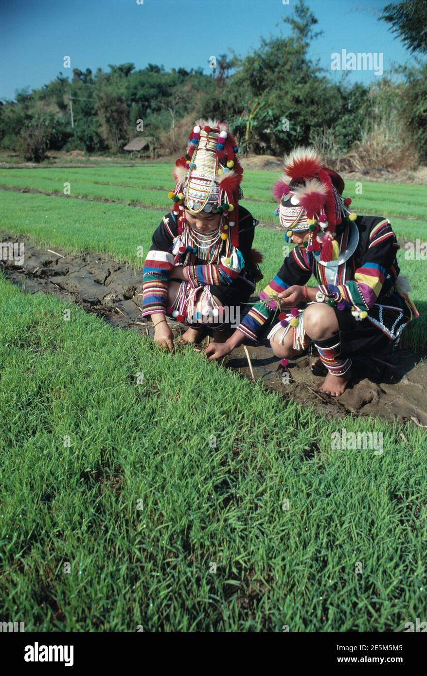 Thailand. Two Akha hill tribe women at work in fields. Stock Photo