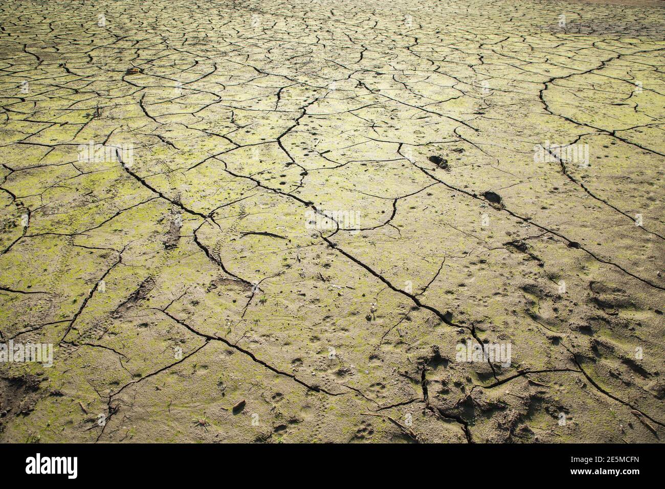 Drought land texture, summers dry, cracked soil, ground on the field ...