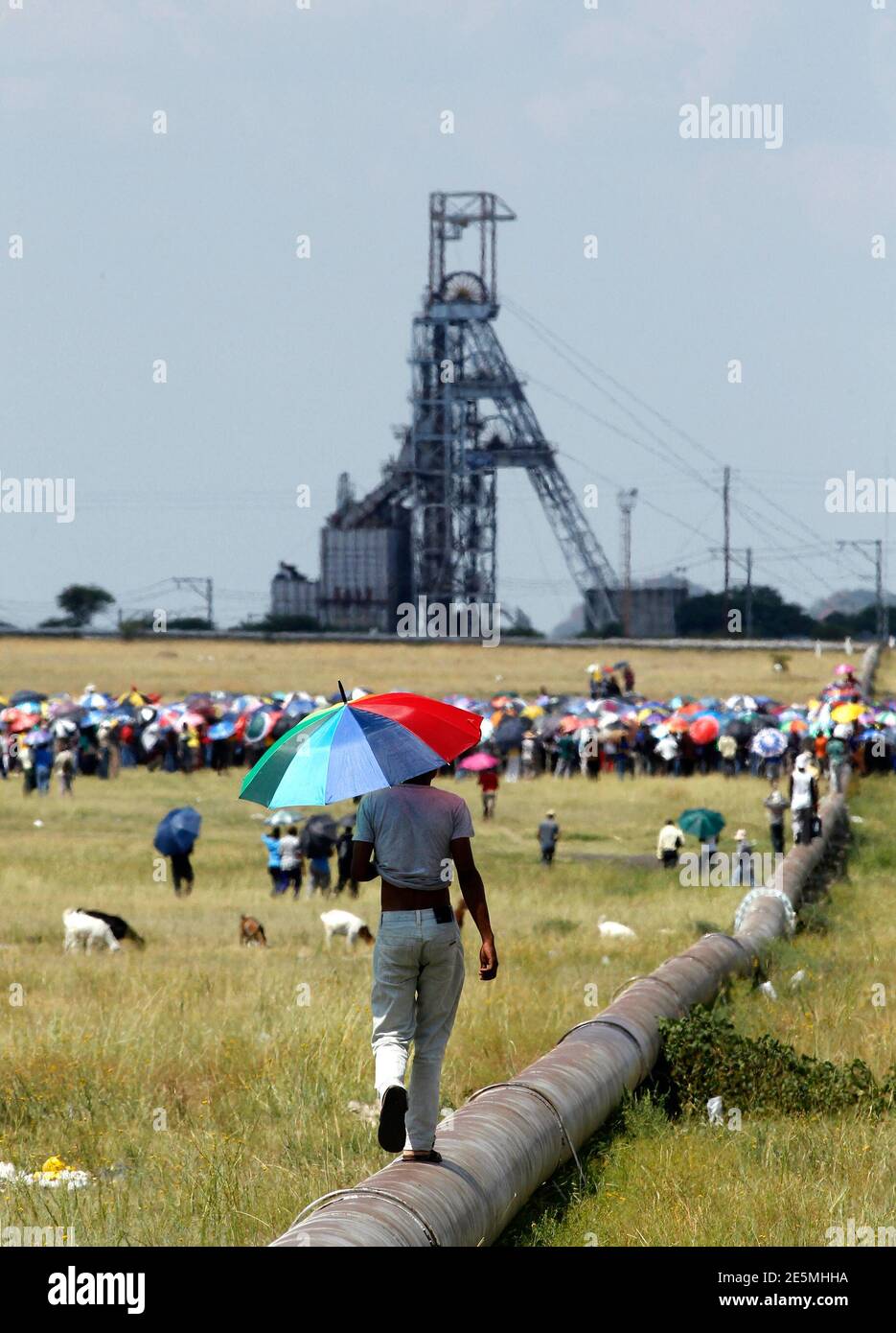 A man walks on a steel pipe to join other striking miners gathered for a meeting outside the Impala Platinum mine in Rustenburg, 120 km (74.6 miles) northwest of Johannesburg February 21, 2012. Impala Platinum, the world's second largest platinum producer, said on Monday that a violent labour dispute at its flagship Rustenburg operations has cost it 80,000 ounces in lost production to date. The stoppage, now in its fifth week, is costing 20,000 ounces a week but the company said its capital projects remained "largely unaffected" by the unfolding drama around the mine, where violence has claime Stock Photo