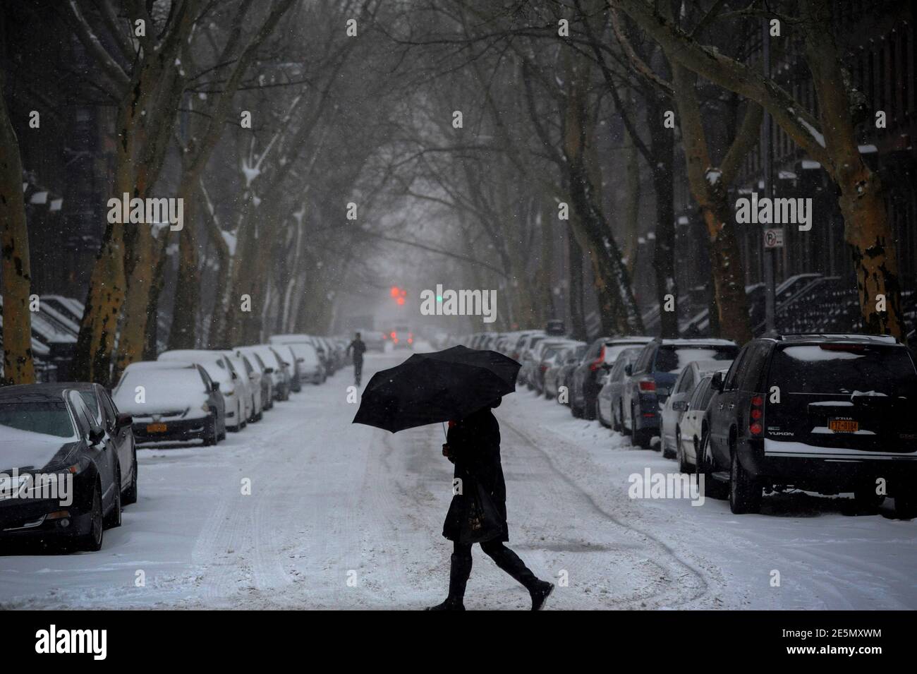 A woman walks beneath an umbrella in falling snow in the Fort Greene section of downtown Brooklyn in New York City January 26, 2015. The National Weather Service (NWS) issued a blizzard warning for New York City and surrounding areas on Monday, and warned of two days of winter storms across the East Coast, from Pennsylvania to Maine. REUTERS/Stephanie Keith    (UNITED STATES - Tags: ENVIRONMENT) Stock Photo