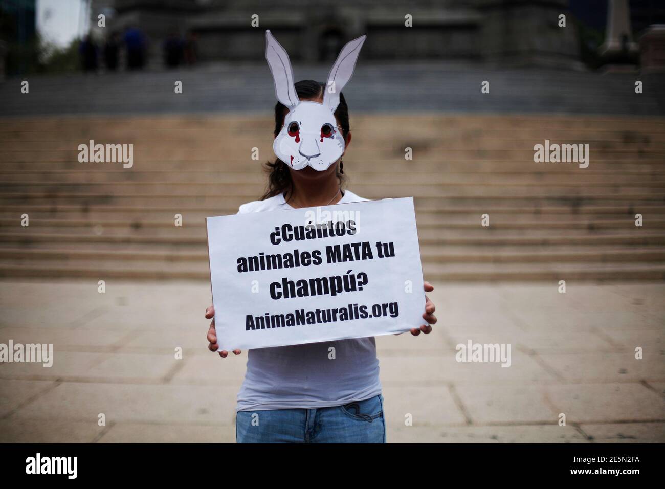 An activist from the animal rights group AnimaNaturalis wears a rabbit mask  during a protest against animal testing for cleaning products in Mexico  City May 15, 2011. REUTERS/Jorge Dan Lopez (MEXICO -