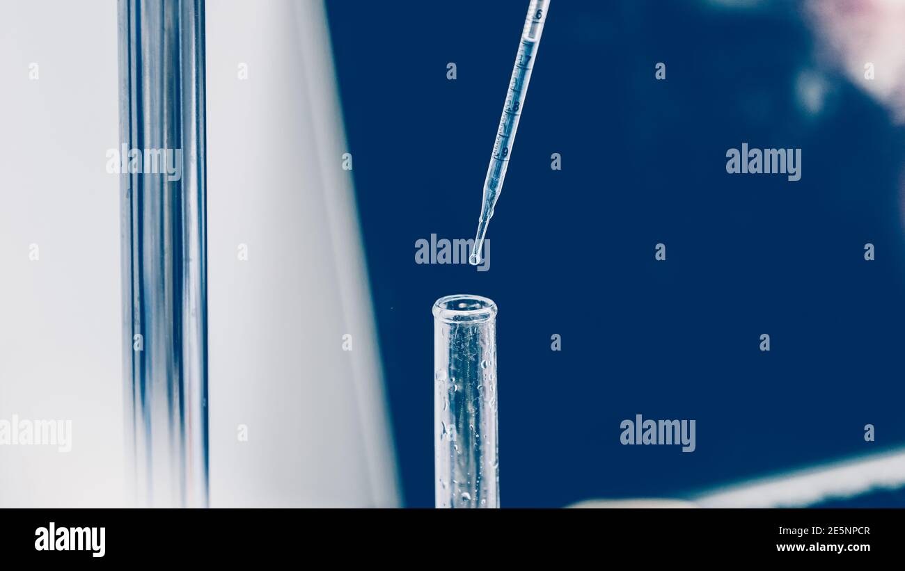 close up. scientist in a glove fills test tubes with a pipette Stock ...