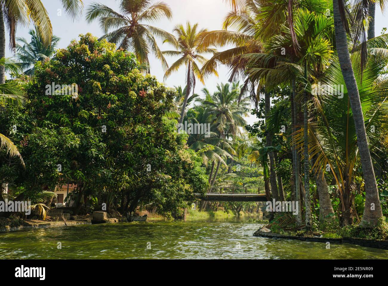 Kerala landscape tree hires stock photography and images Alamy
