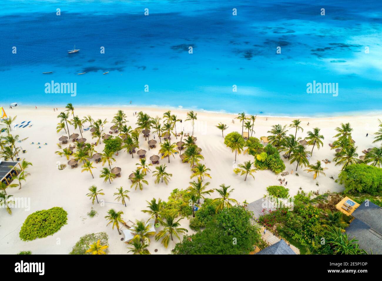 Aerial view sandy beach palm hi-res stock photography and images - Alamy