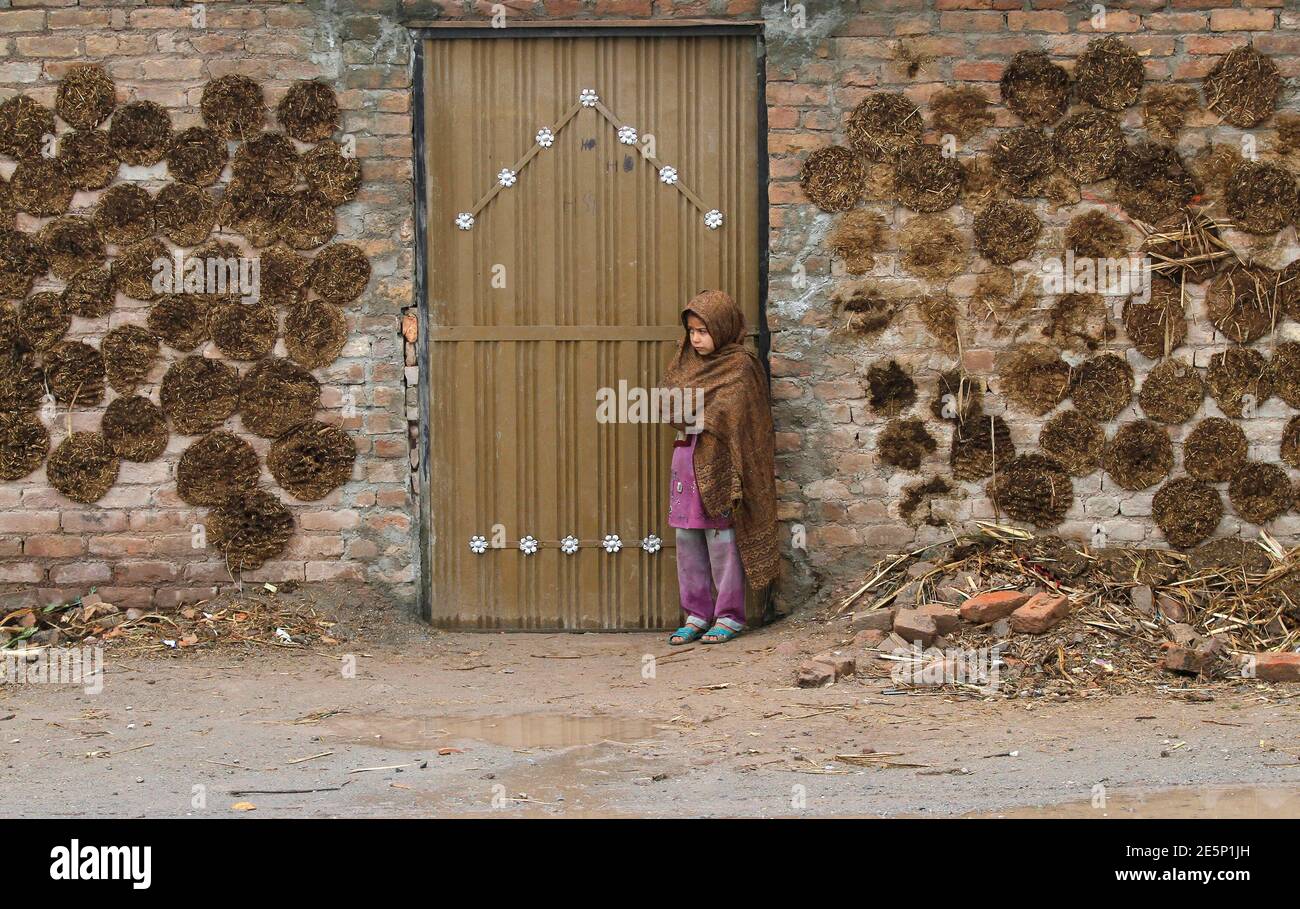Cow dung cakes hi-res stock photography and images - Alamy