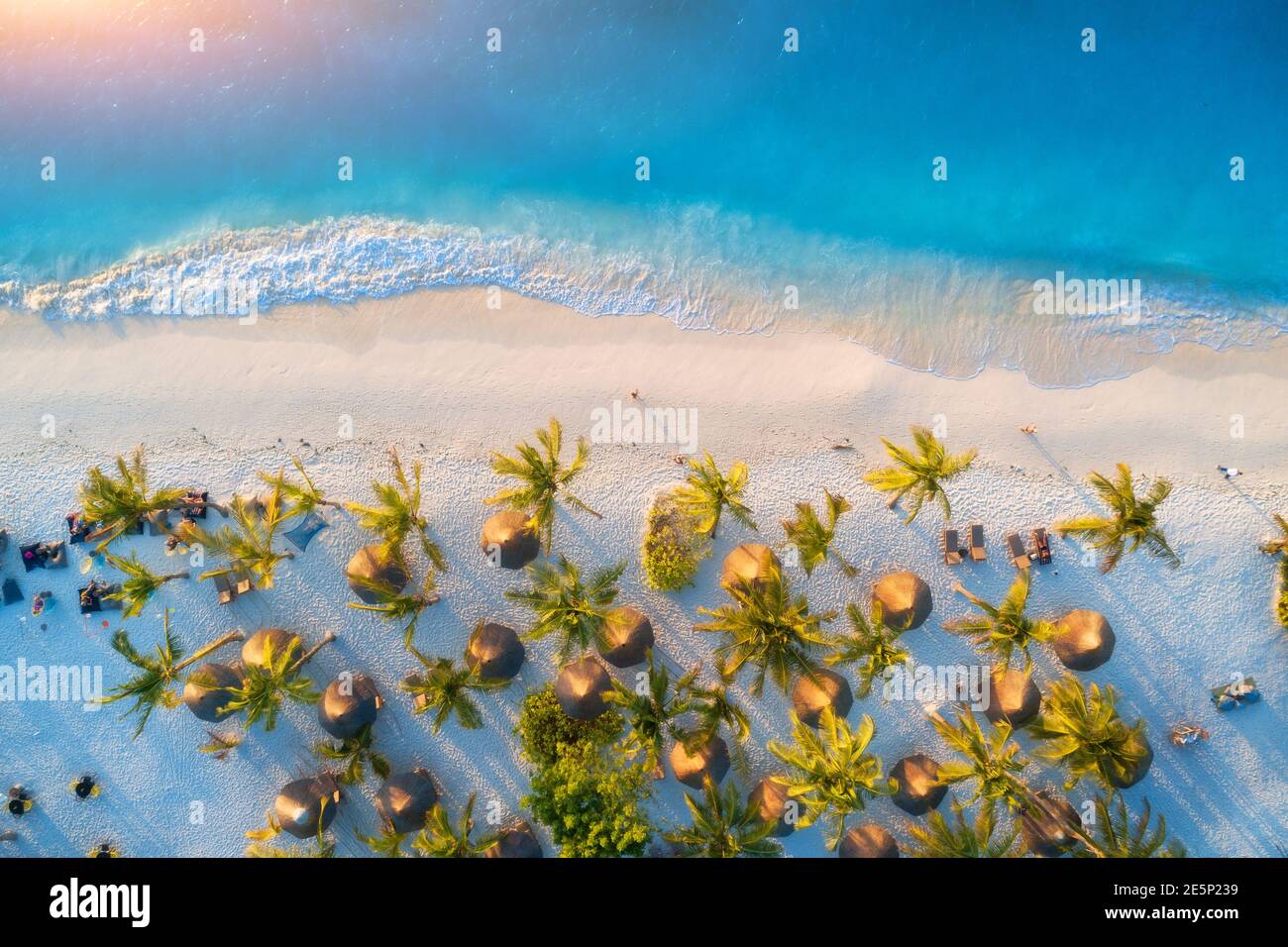 Aerial view of umbrellas, green palms on the sandy beach Stock Photo